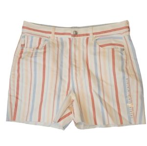 American Eagle Striped Pastel Raw Hem High Waist Shorts sz 12